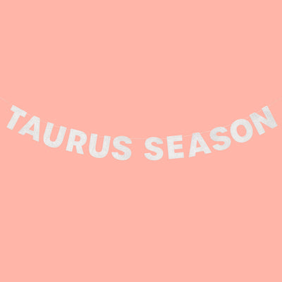 Taurus Season Banner - silver glitter banner