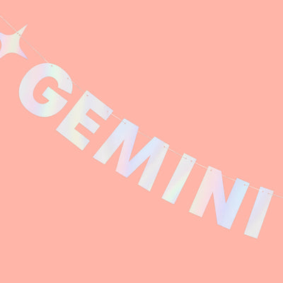 Gemini Baby Banner - iridescent foil banner