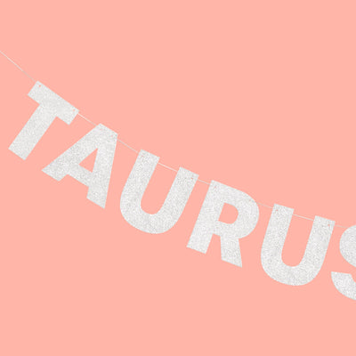 Taurus Season Banner - silver glitter banner