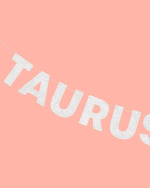 Taurus Season Banner - silver glitter banner