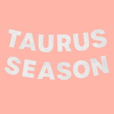 Taurus Season Banner - silver glitter banner