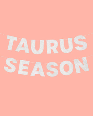 Taurus Season Banner - silver glitter banner