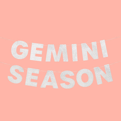 Gemini Season Banner - silver glitter banner