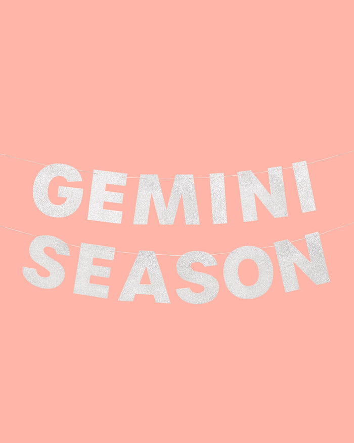 Gemini Season Banner - silver glitter banner