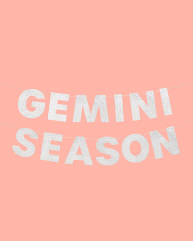 Gemini Season Banner - silver glitter banner