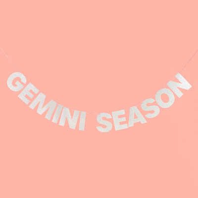 Gemini Season Banner - silver glitter banner